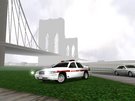 Sheriff's street patrol of New York City.