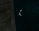 Oh, no! My mobile phone fell into the sea!